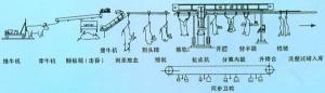 牛的屠宰工（gōng）藝示（shì）意圖