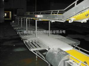鏈（liàn）板輸送（sòng）機